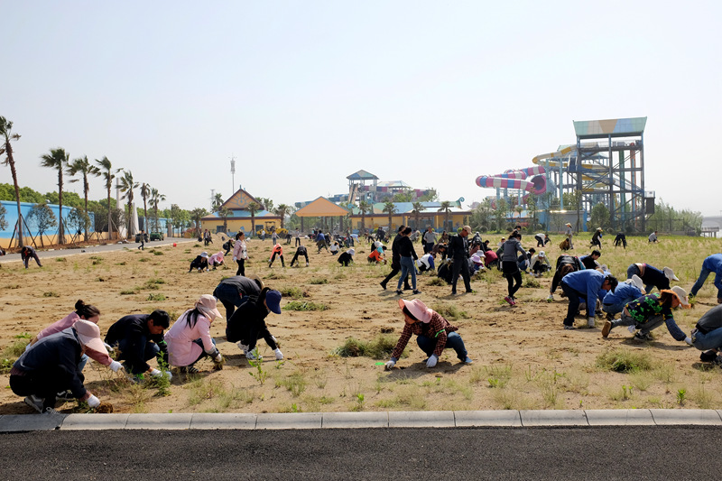 人心齐、干劲大，我们都是拔草能手_副本.jpg